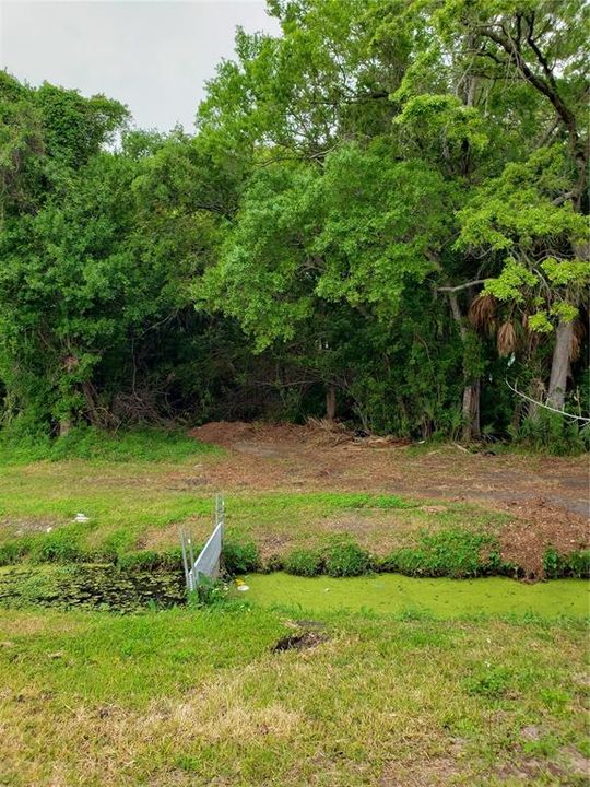 En Venta: $55,000 (0.17 acres)