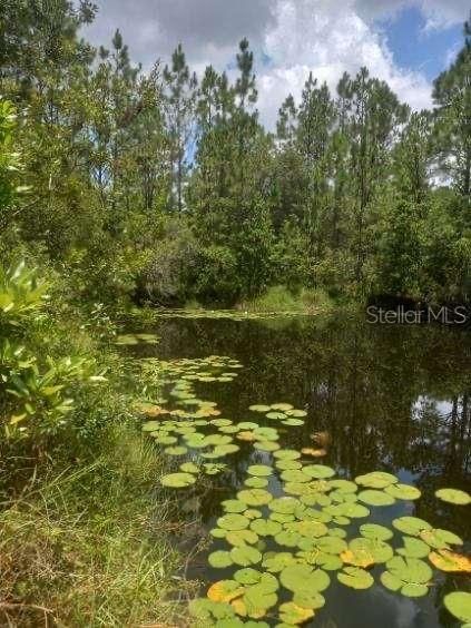 En Venta: $990,000 (4 camas, 3 baños, 2554 Pies cuadrados)
