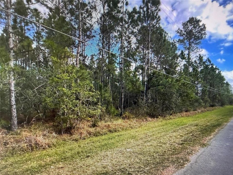 En Venta: $135,000 (1.03 acres)