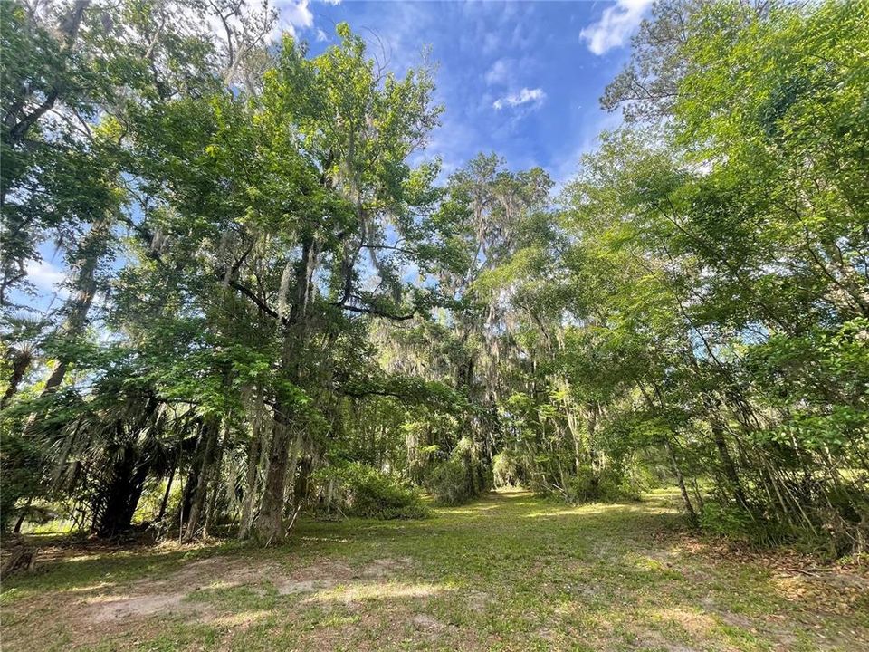 For Sale: $349,000 (0.99 acres)