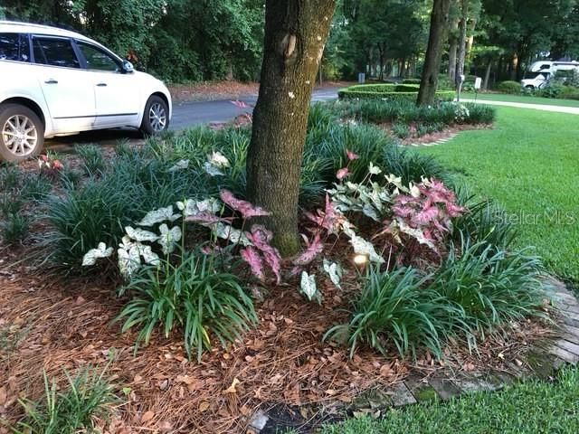 待售: $850,000 (4 贝兹, 2 浴室, 2934 平方英尺)