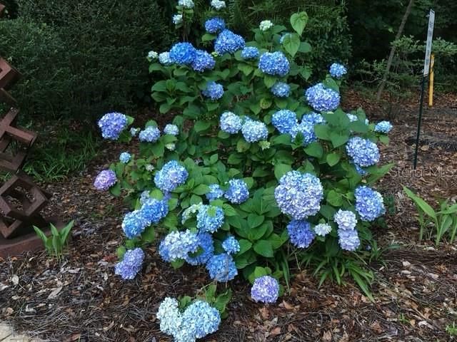 待售: $850,000 (4 贝兹, 2 浴室, 2934 平方英尺)