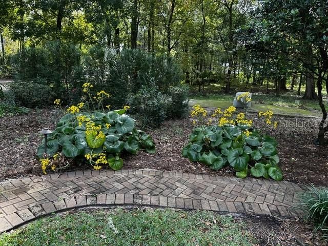 待售: $850,000 (4 贝兹, 2 浴室, 2934 平方英尺)