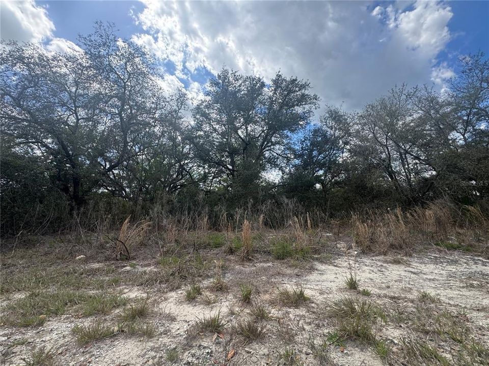 Activo con contrato: $23,500 (1.00 acres)