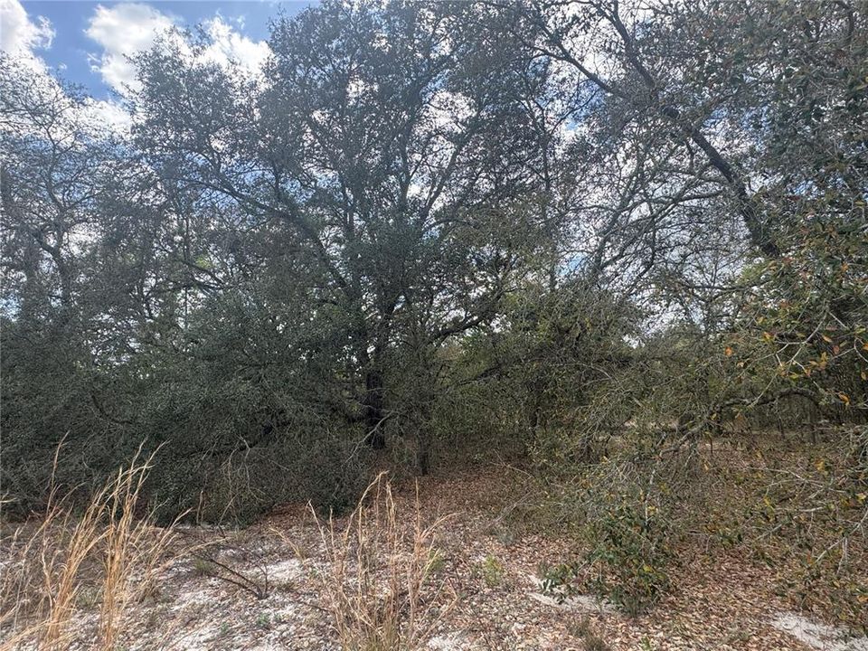Activo con contrato: $23,500 (1.00 acres)