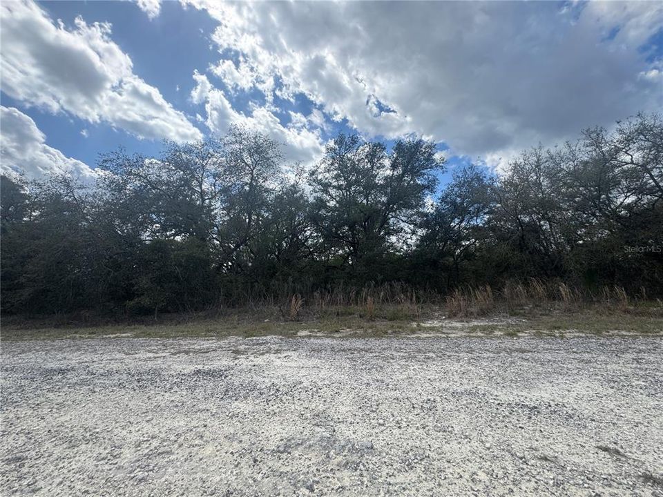 Activo con contrato: $23,500 (1.00 acres)