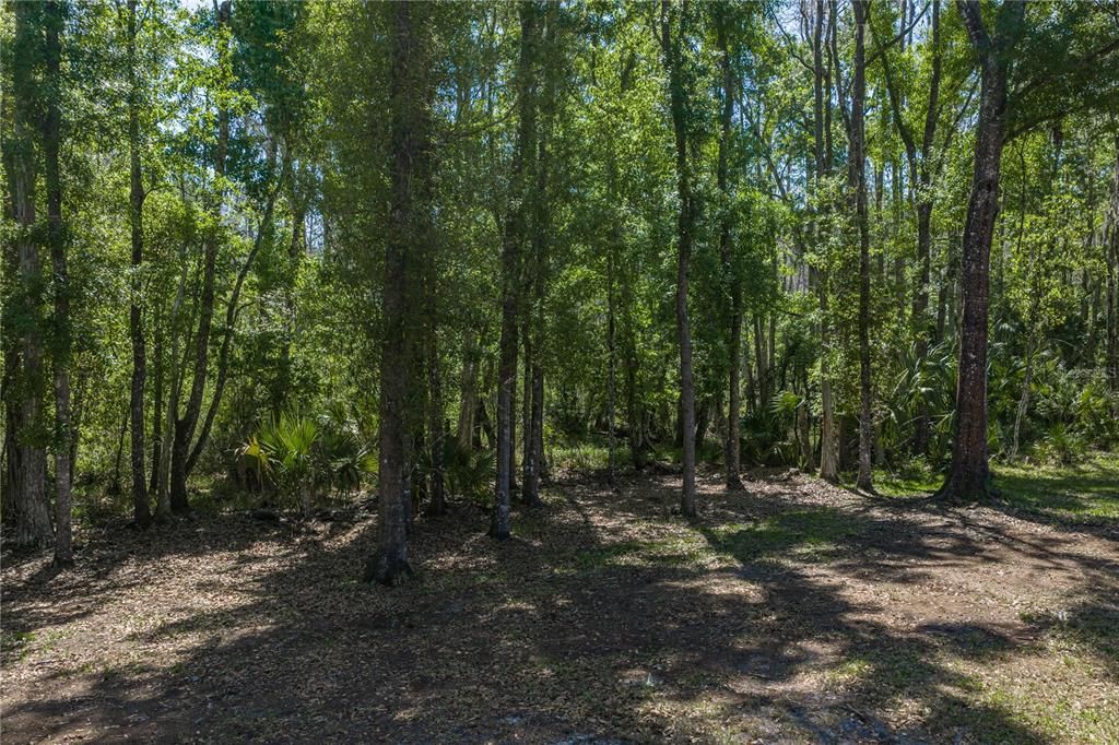 На продажу: $599,999 (3 спален, 2 ванн, 2218 Квадратных фут)