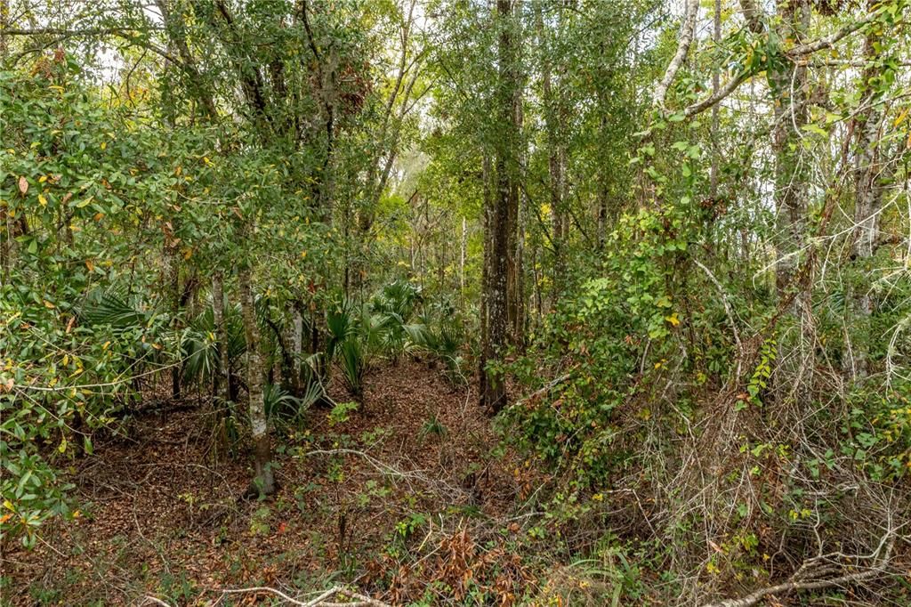 На продажу: $97,500 (2.40 acres)