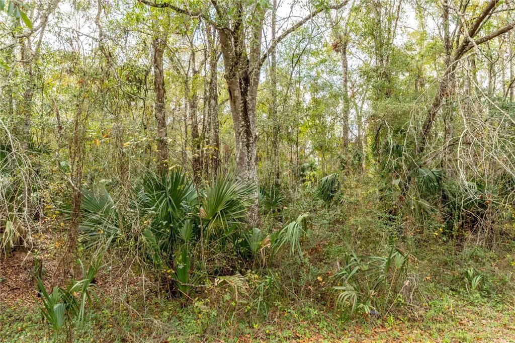 На продажу: $97,500 (2.40 acres)