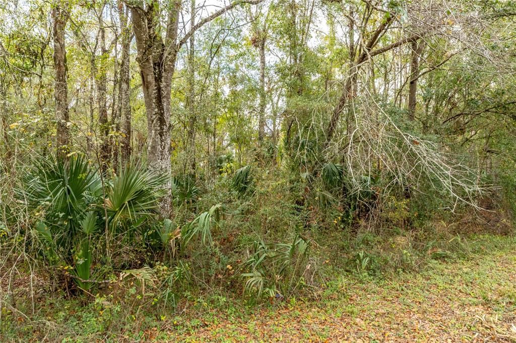 На продажу: $97,500 (2.40 acres)