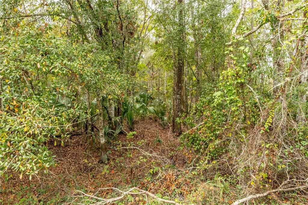 На продажу: $97,500 (2.40 acres)