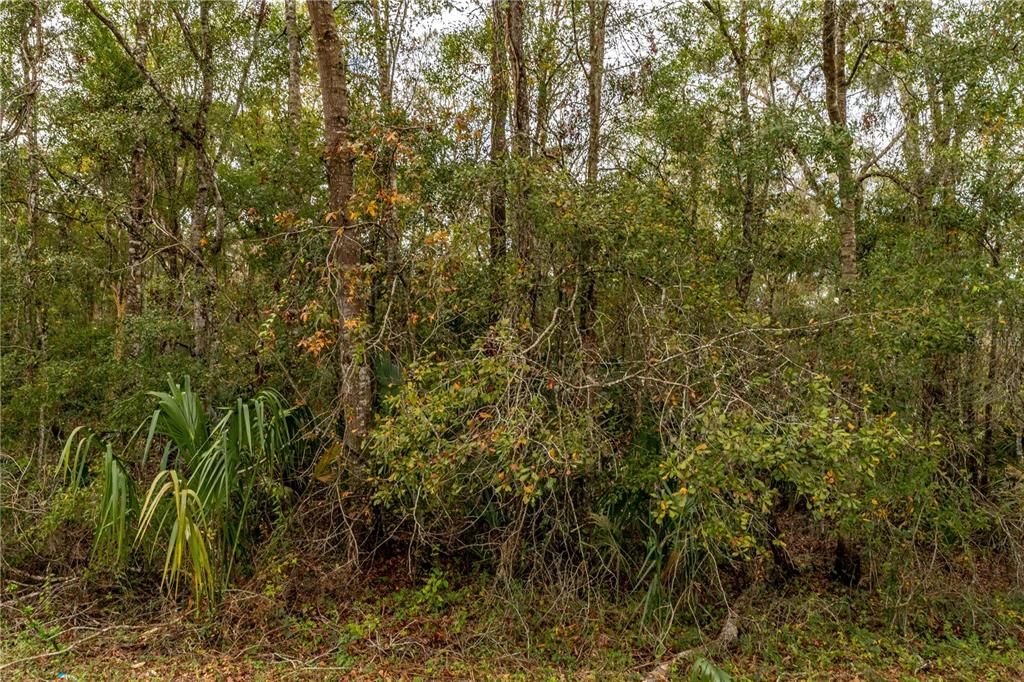 На продажу: $97,500 (2.40 acres)