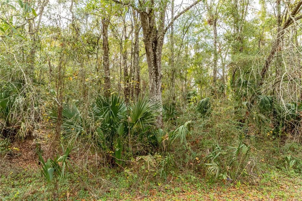 На продажу: $97,500 (2.40 acres)