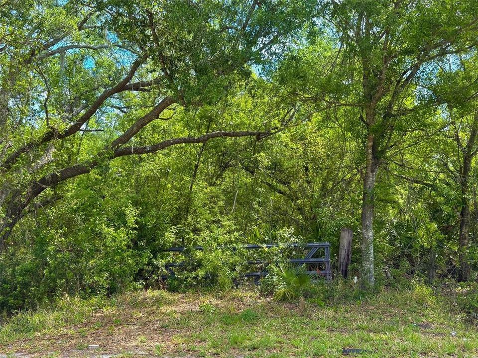 待售: $136,000 (4.53 acres)