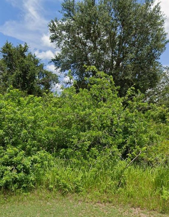 На продажу: $30,000 (0.31 acres)