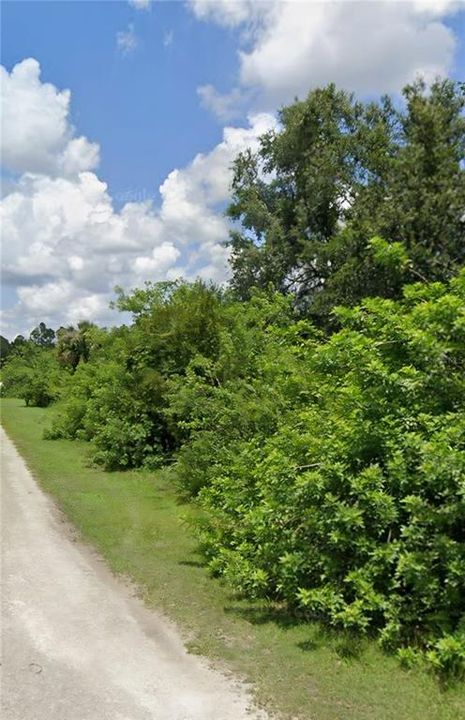 На продажу: $30,000 (0.31 acres)