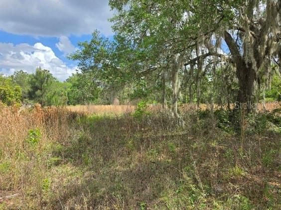 Activo con contrato: $99,900 (3.00 acres)