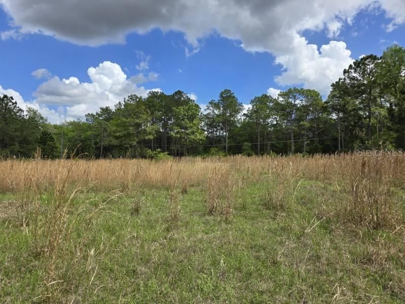 Activo con contrato: $99,900 (3.00 acres)