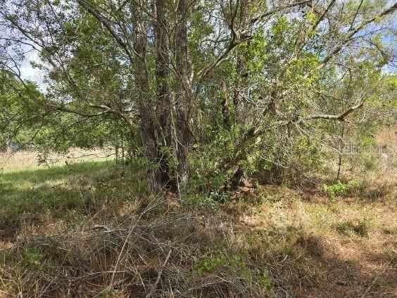 Activo con contrato: $99,900 (3.00 acres)
