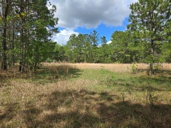Activo con contrato: $99,900 (3.00 acres)