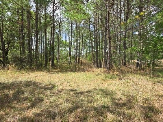 Activo con contrato: $99,900 (3.00 acres)