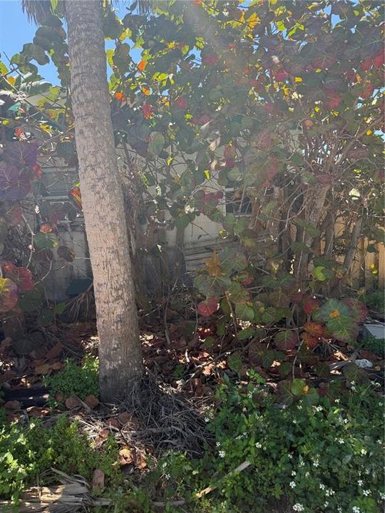 Recently Sold: $875,000 (0.11 acres)