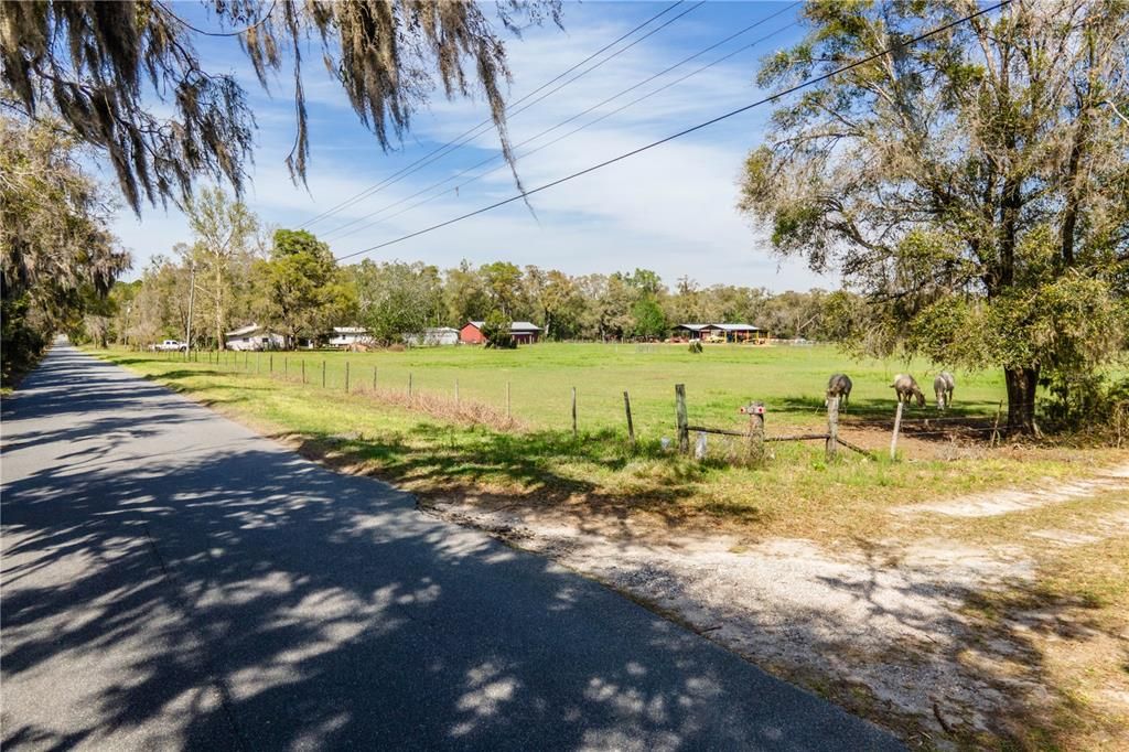 For Sale: $750,000 (20.00 acres)