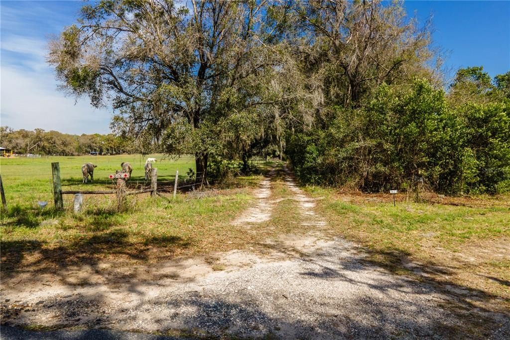 For Sale: $750,000 (20.00 acres)
