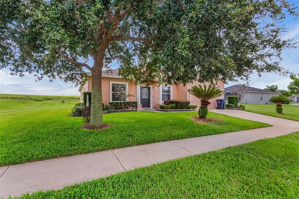 Activo con contrato: $374,999 (4 camas, 3 baños, 2106 Pies cuadrados)