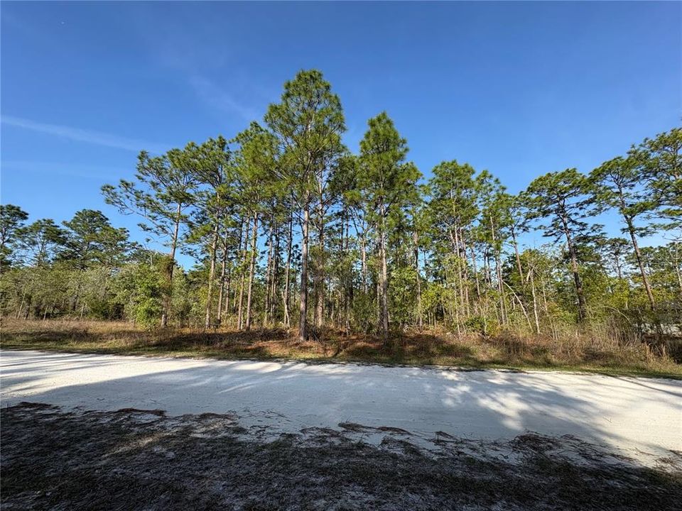 合同活跃: $48,000 (0.50 acres)