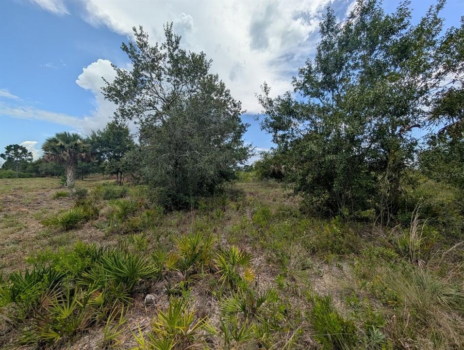 На продажу: $30,000 (1.25 acres)