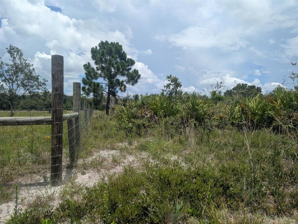 На продажу: $30,000 (1.25 acres)