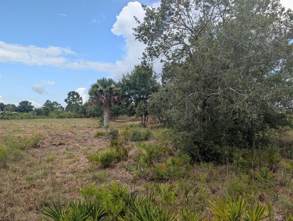 На продажу: $30,000 (1.25 acres)