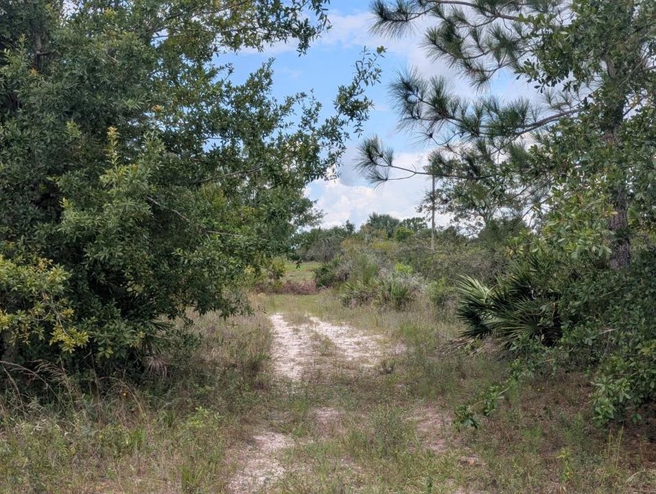 На продажу: $30,000 (1.25 acres)