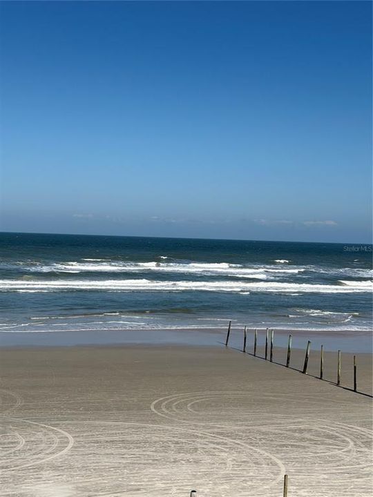 待售: $225,000 (1 贝兹, 1 浴室, 451 平方英尺)