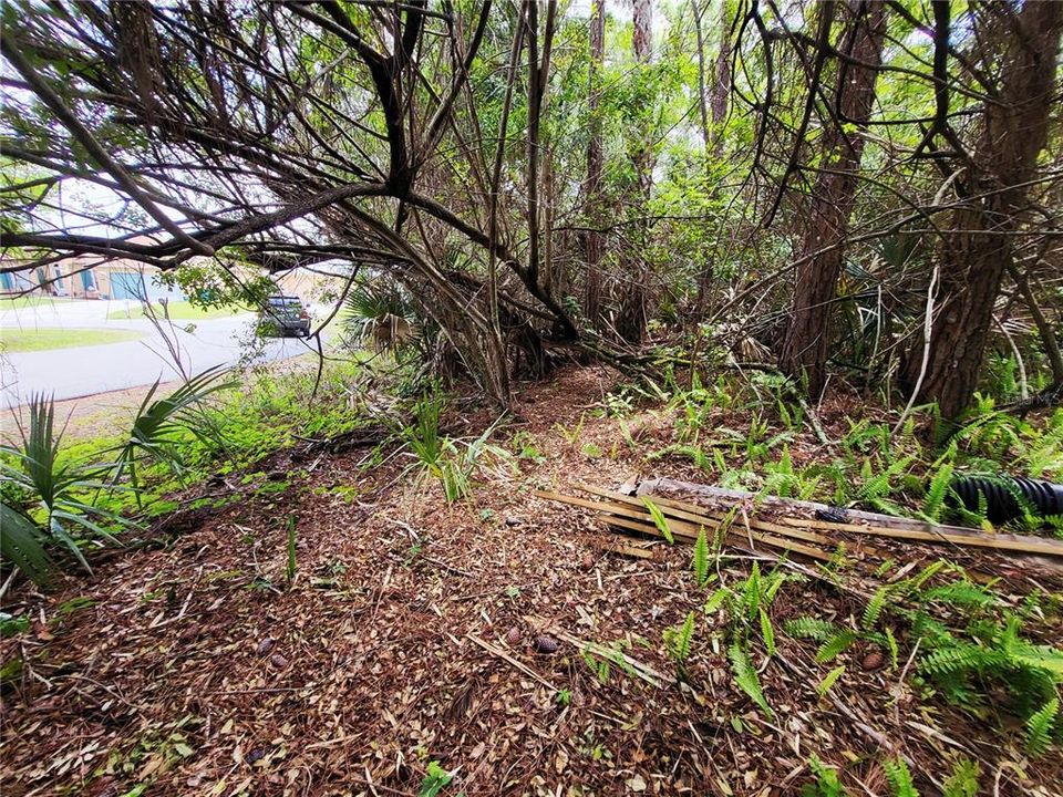 待售: $44,999 (0.23 acres)