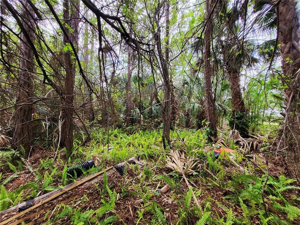 待售: $44,999 (0.23 acres)