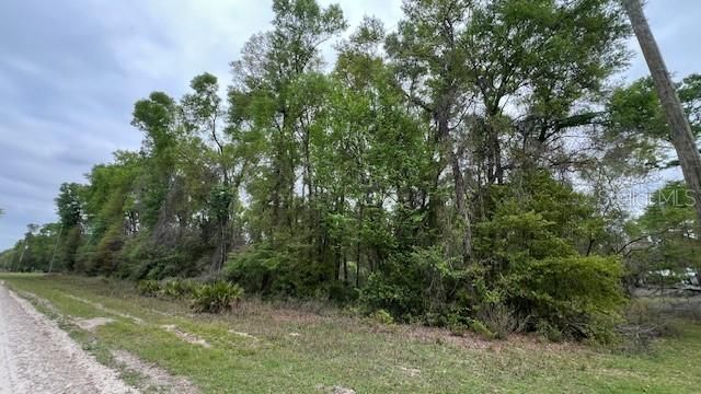 For Sale: $75,000 (2.42 acres)