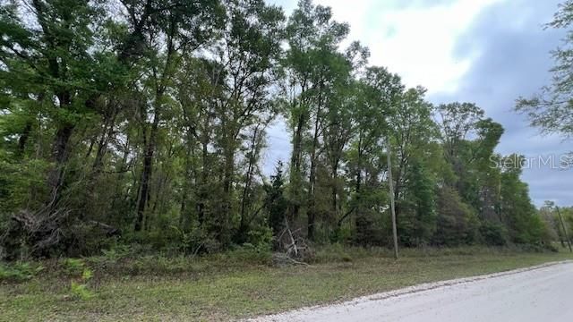 For Sale: $75,000 (2.42 acres)