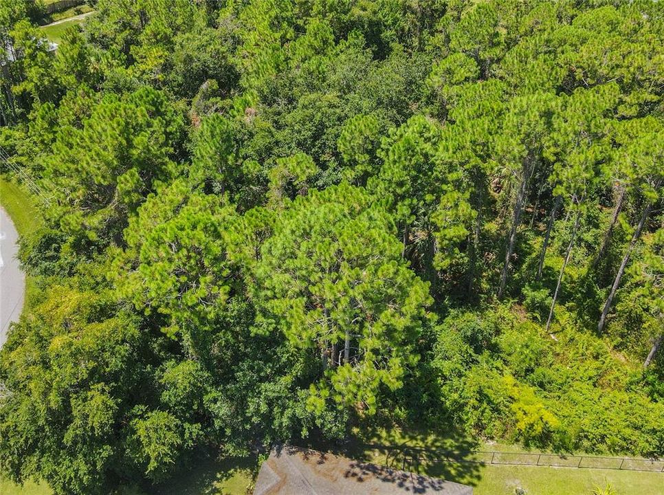 En Venta: $89,900 (0.29 acres)