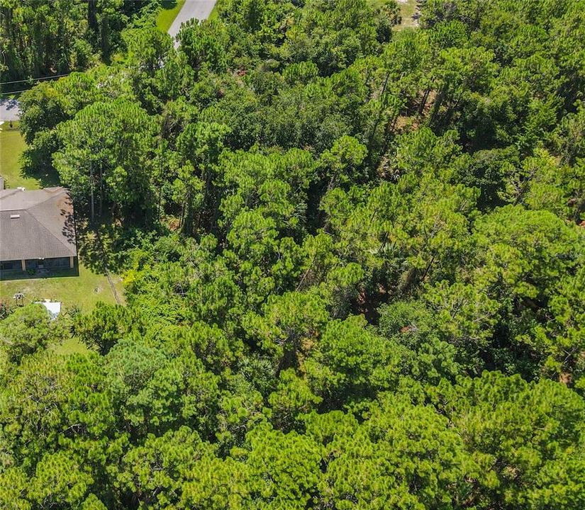 En Venta: $89,900 (0.29 acres)