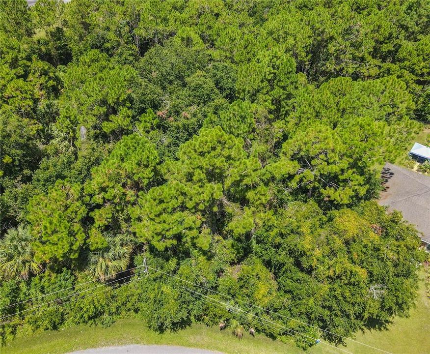 En Venta: $89,900 (0.29 acres)