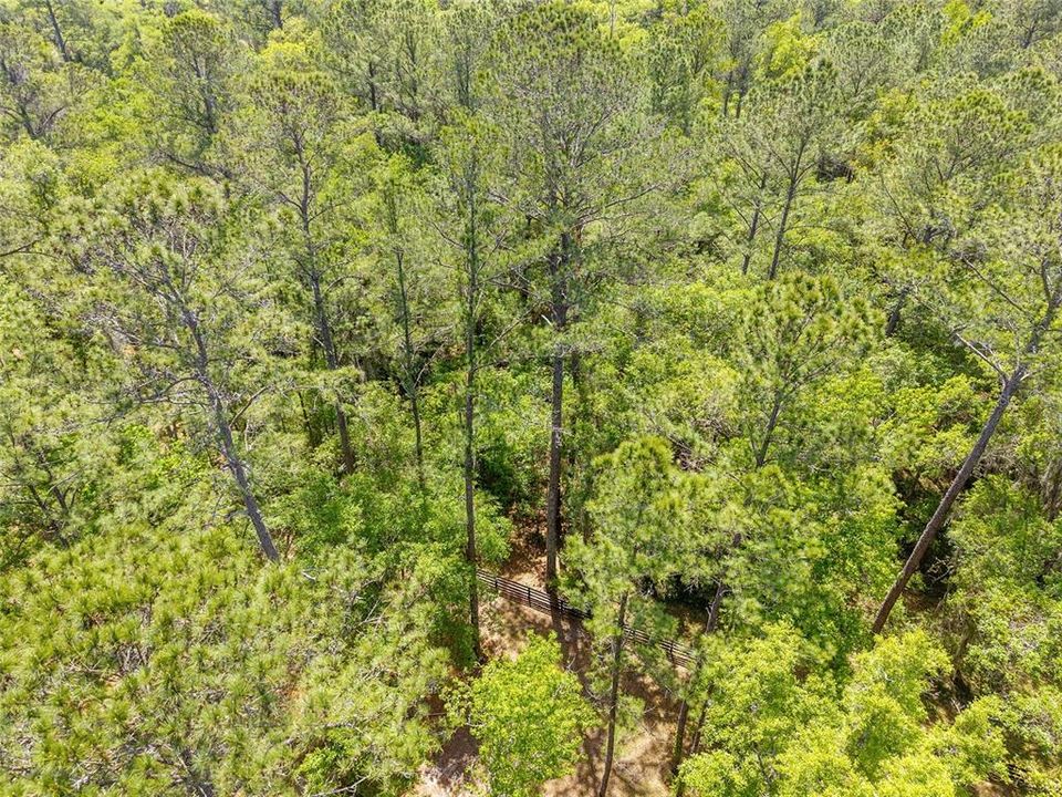 На продажу: $323,000 (4.12 acres)