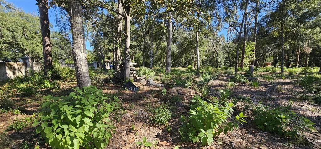 待售: $600,000 (5.40 acres)