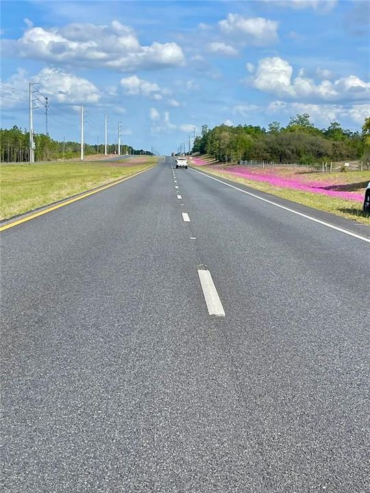 На продажу: $99,900 (4.78 acres)