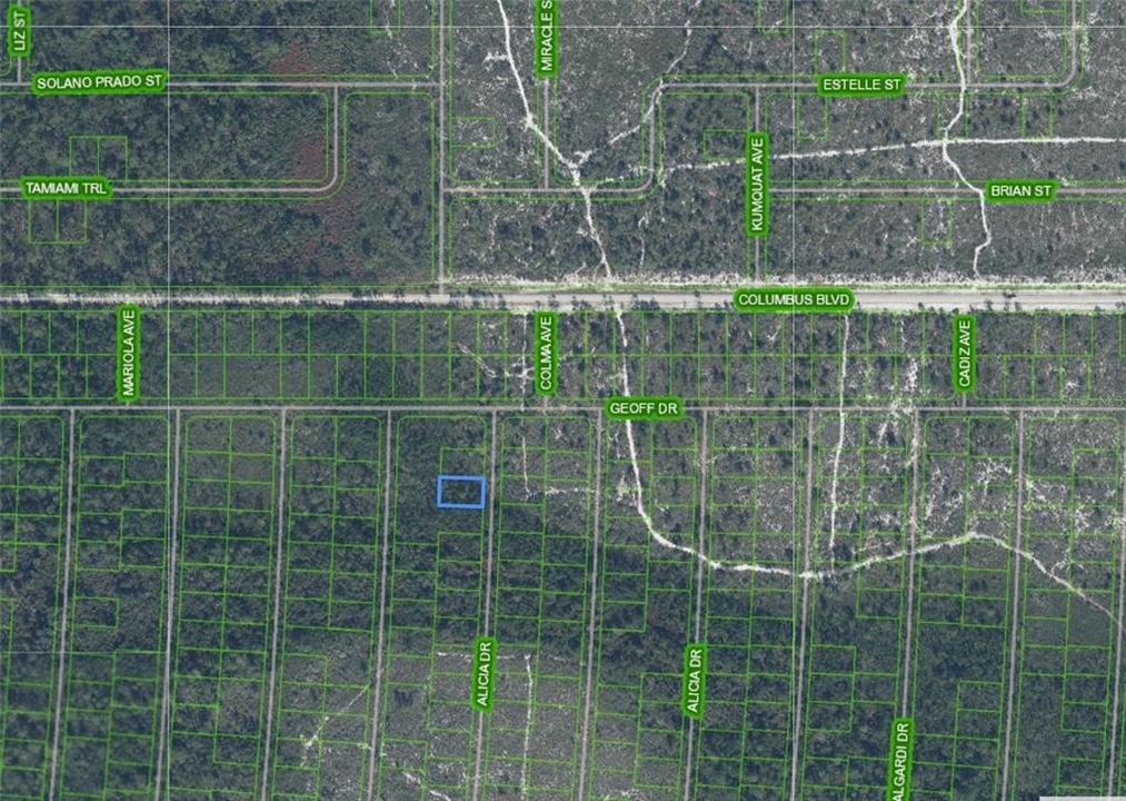 En Venta: $8,000 (0.23 acres)