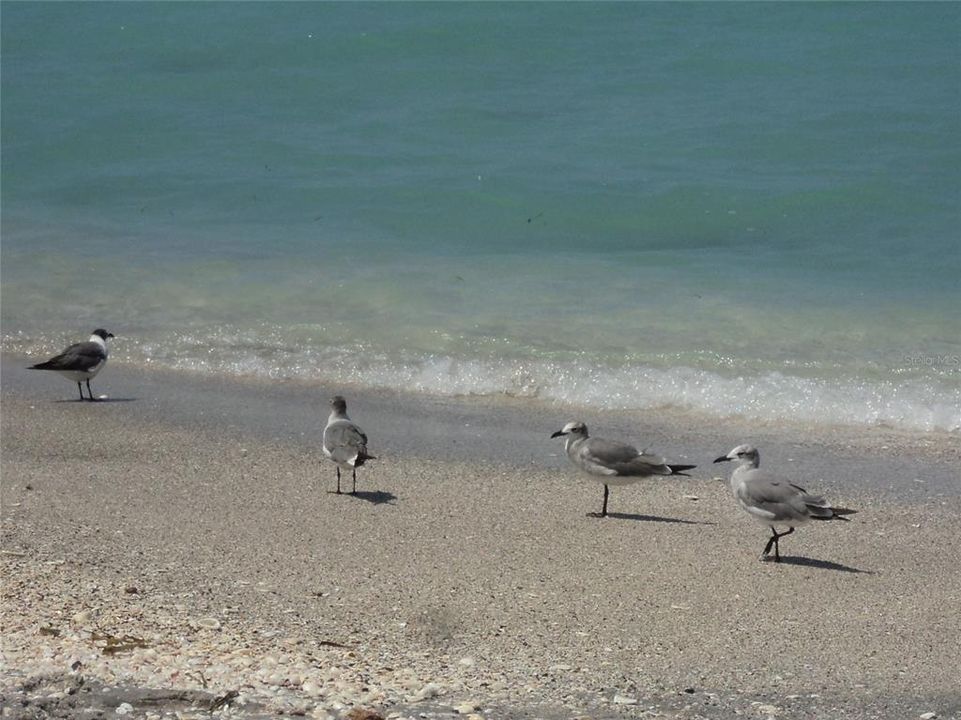 На продажу: $65,000 (0.38 acres)