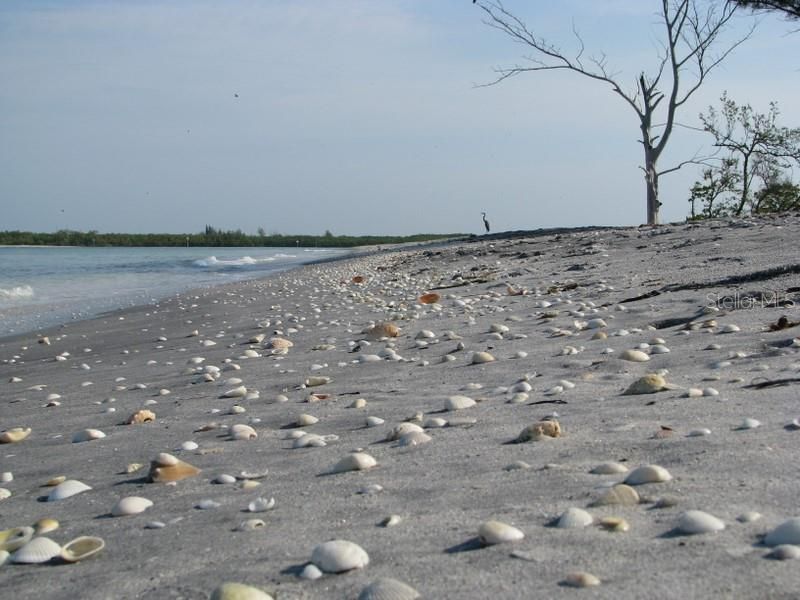 На продажу: $65,000 (0.38 acres)