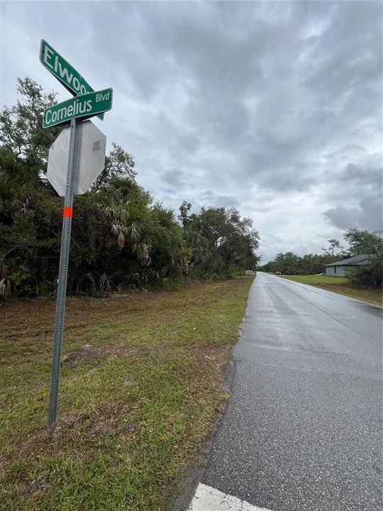 For Sale: $56,953 (0.30 acres)