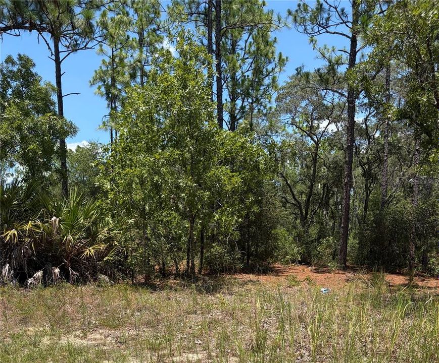 For Sale: $29,000 (0.54 acres)